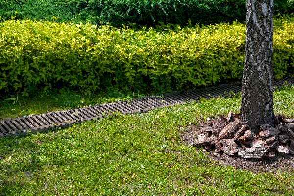 Residential Landscape Drainage in Chillicothe