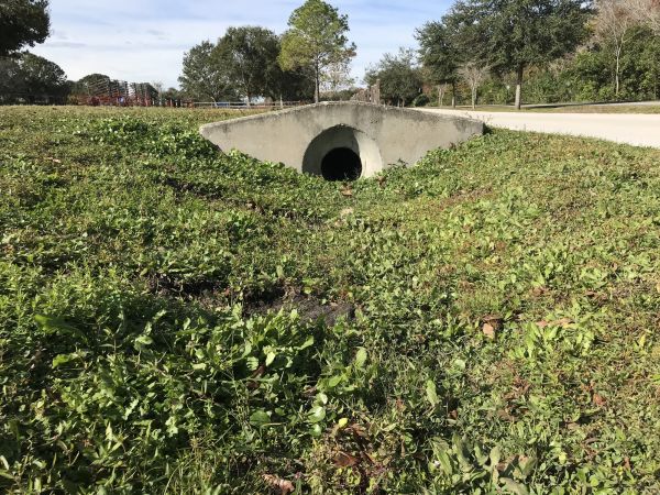 Cost of Swale Drainage Service in Chillicothe